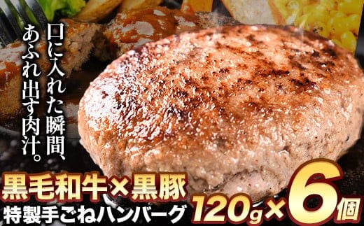 黒毛和牛×黒豚使用！九州うまれの特製手ごねハンバーグ 120g×6個 計720g《30日以内に出荷予定(土日祝除く)》生ハンバーグ 一つずつ個包装 MK エム・ケイ食品---skr_fmkham_30d_r7_13000_6p---