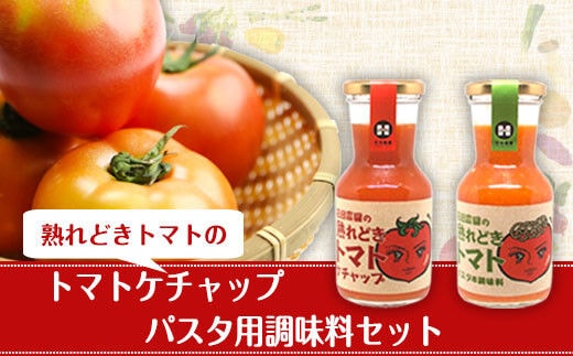 トマトケチャップとパスタ用調味料セット 花田農園《30日以内に出荷予定(土日祝除く)》---skr_hndttkc_30d_r7_11500_940g---