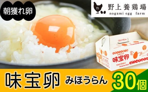 朝獲れ卵 味宝卵 (30個) 卵 Lサイズ：送料無料 鶏卵《90日以内に出荷予定(土日祝除く)》---iskr_ngmmihoran_90d_r7_8000_30p---