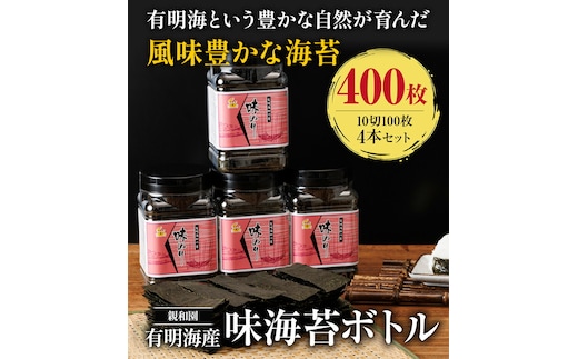 有明海産 味海苔 10切100枚 4本セット 合計400枚 【福岡有明のり】 送料無料 《30日以内に出荷予定(土日祝除く)》福岡県 鞍手郡 鞍手町 たっぷり 親和園---skr_snwykn_30d_r7_11500_400p---