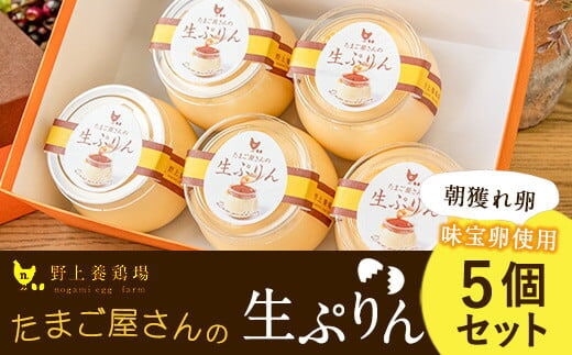 たまご屋さんの生ぷりん5個セット (150ml×5個) 送料無料 野上養鶏場《60日以内に出荷予定(土日祝除く)》味宝卵使用 プリン---skr_cngmprn_60d_r7_11000_5p---
