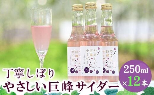 巨峰サイダー 250ml×12本 福岡県 鞍手町 送料無料《30日以内に出荷予定(土日祝除く)》ぶどう 直鞍農業協同組合 営農センター フルーツ---skr_jakyohosd_30d_r7_13500_12p---