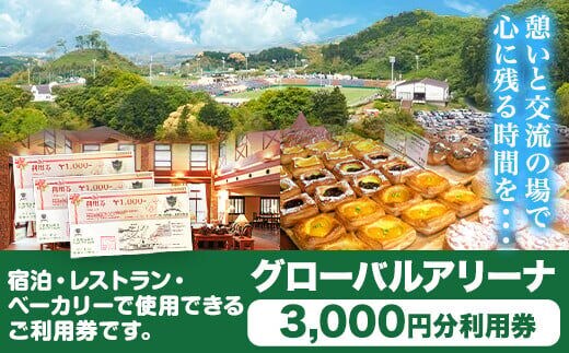 グローバルアリーナ 利用券 3000円分 株式会社グローバルアリーナ 《30日以内に出荷予定(土日祝除く)》GLOBAL ARENA 利用券 福岡県 鞍手町 宿泊 スポーツ パン バイキング レストラン 食事 総合施設 送料無料---iskr_gbaticket_30d_r7_10000_1s---
