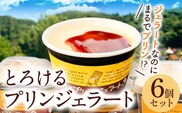 とろけるプリンジェラート 90ml×6個 グローバルアリーナ 《45日以内に出荷予定(土日祝除く)》 福岡県 鞍手郡 鞍手町 プリン ジェラート GA倶楽部 デザート 味宝卵 お菓子 スイーツ 冷凍---iskr_fgbaprn_45d_r7_13500_6i---