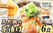 鯛茶漬け6食 独楽《30日以内に出荷予定(土日祝除く)》 独楽 鯛 お茶漬け 鯛茶漬け 6食 だし 出汁---skr_ftaitya_30d_r7_18500_6p---