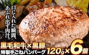 黒毛和牛×黒豚使用！九州うまれの特製手ごねハンバーグ 120g×6個 計720g《30日以内に出荷予定(土日祝除く)》生ハンバーグ 一つずつ個包装 MK エム・ケイ食品---skr_fmkham_30d_r7_13000_6p---