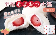 至福あまおう大福 8個セット 北九食品株式会社 《30日以内に出荷予定(土日祝除く)》大福 和菓子 スイーツ 福岡県 鞍手郡 鞍手町---skr_fktkamaodai_30d_r7_13000_8i---