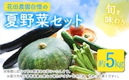 夏野菜セット 約5キロ 花田農園《6月上旬-8月上旬頃出荷》トマト きゅうり オクラ かぼちゃ マクワ瓜 すいか ゴーヤ じゃがいも 玉ねぎ 送料無料 福岡県 鞍手郡 鞍手町---skr_chndntyset_ad68_26_13000_5kg---