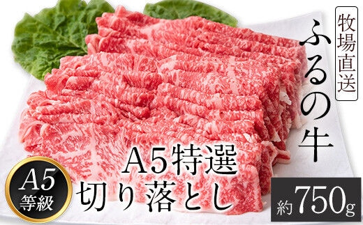 ふるの牛（黒毛和牛）Ａ５特選 切り落とし 750g 送料無料 A5 ミシュラン掲載《30日以内に出荷予定(土日祝除く)》---skr_ffrnkrot_30d_r7_21000_750g---