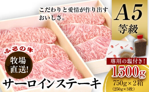 ふるの牛（黒毛和牛）特選サーロインステーキ 1500g 1箱(250g×3枚)×2箱 ゲランド塩付き A5 有限会社ふるの《30日以内に出荷予定(土日祝除く)》---skr_ffrnsirl_30d_r7_100000_1500g---