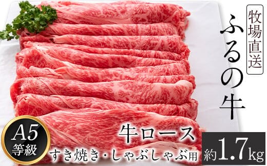 ふるの牛（黒毛和牛）ロースすき焼き・しゃぶしゃぶ用 1.7kg A5 ミシュラン掲載 《30日以内に出荷予定(土日祝除く)》---skr_ffrnrosu_30d_r7_100000_1700g---