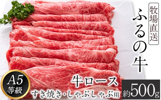 ふるの牛（黒毛和牛）ロースすき焼き・しゃぶしゃぶ用 500g A5 有限会社ふるの《30日以内に出荷予定(土日祝除く)》---skr_ffrnrosu_30d_r7_30000_500g---
