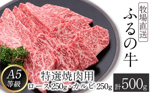 ふるの牛（黒毛和牛）特選焼肉用 500g (ロース250g、カルビ250g) A5 ミシュラン掲載《30日以内に出荷予定(土日祝除く)》---skr_ffrnyknk_30d_r7_30000_500g---
