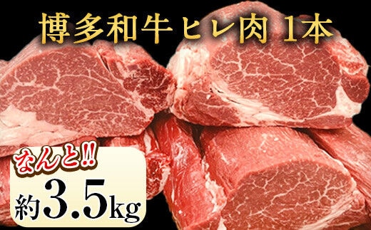 博多和牛 ヒレ肉 まるごと1本 約3.5kg 株式会社エム・ケイ食品《2月上旬-3月末頃出荷》 ---skr_cmkhire_af2_200000_3500g---