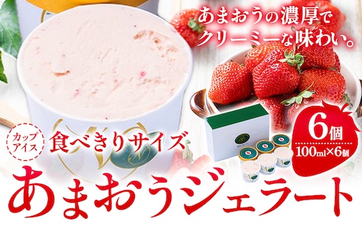 あまおうジェラート 100ml×6個 南国フルーツ株式会社《4月上旬-4月末頃出荷》福岡県 鞍手町 あまおう いちご ジェラート 果物 送料無料---skr_fnngkzt_ac4_26_16500_6i---