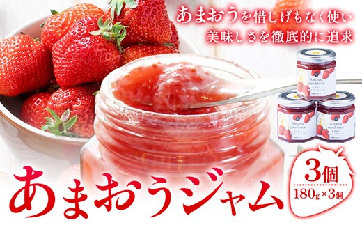 あまおうジャム 180g×3個 南国フルーツ株式会社《4月上旬-4月末頃出荷》福岡県 鞍手町 あまおう いちご ジャム 果物 送料無料---skr_nngkzm_ac4_26_11500_3i---
