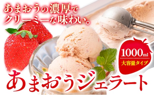あまおうジェラート 1000ml 南国フルーツ株式会社《4月上旬-4月末頃出荷》福岡県 鞍手町 あまおう いちご ジェラート 果物 送料無料---skr_fnngkzr_ac4_26_13000_1kg---