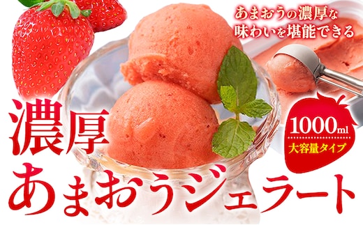 濃厚あまおうジェラート 1000ml 南国フルーツ株式会社《4月上旬-4月末頃出荷》福岡県 鞍手町 あまおう いちご ジェラート 果物 送料無料---skr_fnngknk_ac4_26_13000_1kg---