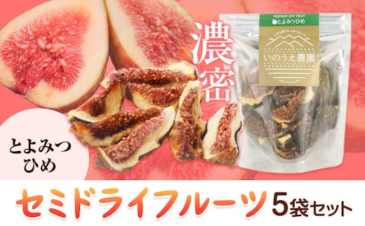 セミドライフルーツ 5袋セット とよみつひめ いのうえ農園 株式会社アジア開発貿易《30日以内に出荷予定(土日祝除く)》福岡県 鞍手郡 鞍手町 ドライフルーツ いちじく イチジク 無花果 フルーツ くだもの 果物 スイーツ---skr_sdft_30d_r7_13000_t---