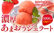 濃厚あまおうジェラート 1000ml 南国フルーツ株式会社《4月上旬-4月末頃出荷》福岡県 鞍手町 あまおう いちご ジェラート 果物 送料無料---skr_fnngknk_ac4_26_13000_1kg---