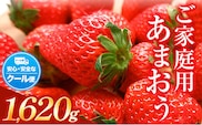 ★2026年出荷分★【先行予約】あまおう いちご 1620g フルーツ 【着日指定不可】《2月中旬-4月末頃出荷予定》ふるさと納税 いちご 福岡県 鞍手郡 【鞍手町】---kr_ckramar_2c4m_r7_13000_1620g---