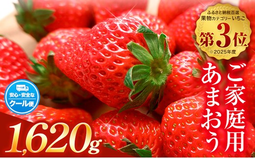 ★2027年出荷分★あまおう いちご 1620g フルーツ 【先行予約】【着日指定不可】《2月中旬-3月中旬頃出荷》ふるさと納税 いちご 福岡県 鞍手郡 【鞍手町】---kr_ckramar_q2_26_13000_1620g---