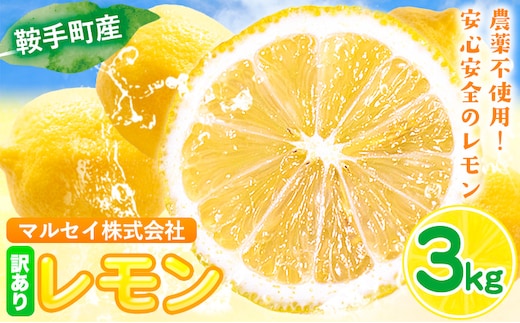 レモン 訳あり 3kg マルセイ株式会社《11月上旬-1月末頃出荷》レモン フルーツ スイーツ くだもの 果物 レモン果汁 ふるさと納税 福岡県 鞍手町---skr_mslm_af111_r7_7000_3kg---
