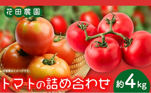 トマト2種の詰め合わせセット 約4kg 花田農園《6月上旬-7月末頃出荷》野菜 トマト 送料無料 福岡県 鞍手町---skr_chndtmt_af6_26_13000_4kg---