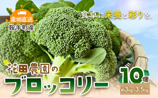 ブロッコリー 花田農園 の ブロッコリー 10個 花田農園 《11月下旬-3月末頃出荷》福岡県 鞍手町 ぶろっこりー 野菜 ブロッコリー 産地直送 送料無料---skr_chndbr_cf113_25_8500_3kg---