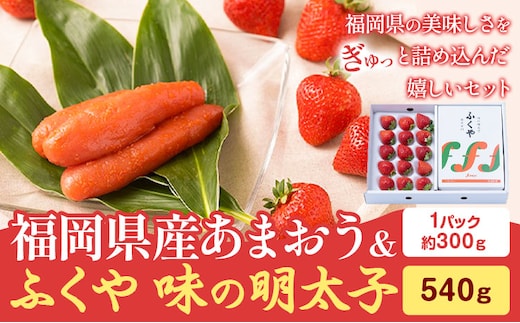 福岡県産あまおうギフト箱 & ふくや味の明太子 540g 南国フルーツ株式会社《12月上旬-3月末頃出荷》福岡県 鞍手町 あまおう いちご めんたいこ 明太子 セット 送料無料---skr_cnngkg_af123_r7_30000_540g---