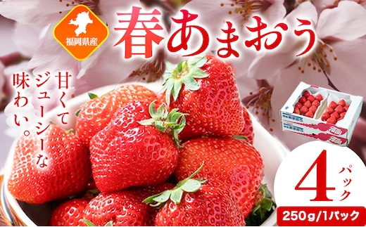 福岡県産 春あまおう 4パック 南国フルーツ株式会社《2027年2月上旬-2027年3月末頃出荷》福岡県 鞍手町 あまおう いちご イチゴ 送料無料【配送不可地域あり】---skr_cnngkam_af2_26_13000_1kg---