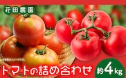 トマト2種の詰め合わせセット 約4kg 花田農園《6月上旬-7月末頃出荷》野菜 トマト 送料無料 福岡県 鞍手町---skr_chndtmt_af6_26_13000_4kg---
