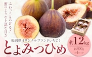 いちじく 無花果 とよみつひめ 約1.2kg 約300g × 4パック 南国フルーツ株式会社【26年度出荷】《8月上旬-10月中旬頃出荷》福岡県 鞍手町 福岡県産 いちじく フルーツ 果物---skr_cnngkt_ae810_26_13000_4p---