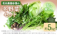 冬野菜セット 約5kg 花田農園《11月下旬-2月末頃出荷》白菜 大根 大葉春菊 里芋 キャベツ 水菜 リーフレタス ブロッコリー ロマネスコ 福岡県 鞍手郡 鞍手町---skr_chndhyys_cf112_26_13000_5kg---