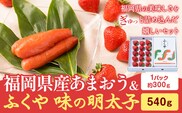 福岡県産あまおうギフト箱 & ふくや味の明太子 540g 南国フルーツ株式会社《12月上旬-3月末頃出荷》福岡県 鞍手町 あまおう いちご めんたいこ 明太子 セット 送料無料---skr_cnngkg_af123_r7_30000_540g---