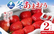 福岡県産 冬あまおう 2パック 南国フルーツ株式会社《2026年12月上旬-2027年1月末頃出荷》福岡県 鞍手町 あまおう いちご イチゴ 送料無料【配送不可地域あり】---skr_cnngkam_af12_26_13000_500g---