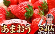 ★2026年出荷分★【先行予約】あまおう 大容量 あまおう いちご 540g【着日指定不可】《2月中旬-4月末頃出荷予定》ふるさと納税 いちご 福岡県 フルーツ ---kr_ckramar_2c4m_r7_6000_540g---