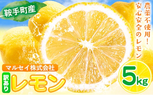 レモン 訳あり 5kg マルセイ株式会社《11月上旬-1月末頃出荷》レモン フルーツ スイーツ くだもの 果物 レモン果汁 ふるさと納税 福岡県 鞍手町---skr_mslm_af111_r7_9000_5kg---