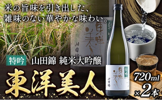 日本酒 新酒 東洋美人 特吟 山田錦 純米大吟醸 2本 計1440ml 1本あたり 720ml 福岡吟醸倶楽部株式会社《30日以内に出荷予定(土日祝除く)》福岡県 鞍手郡 鞍手町 酒 冷酒 送料無料---skr_gntybjn_30d_r7_20000_2i---