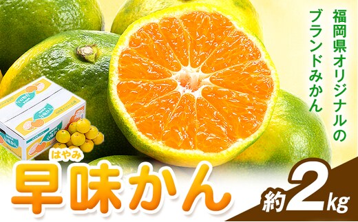 みかん 早味かん 約2kg 南国フルーツ株式会社【26年度出荷】《9月中旬-9月下旬頃出荷》福岡県 鞍手町 福岡県産 みかん 早味かん フルーツ 果物---skr_nngkw_b9_25_11500_2kg---