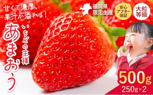 ★2027年出荷分★あまおう 大容量 あまおう いちご 500g【先行予約】【着日指定不可】《2月中旬-3月中旬頃出荷》ふるさと納税 いちご 福岡県 フルーツ ---kr_ckramar_q2_26_6000_500g---