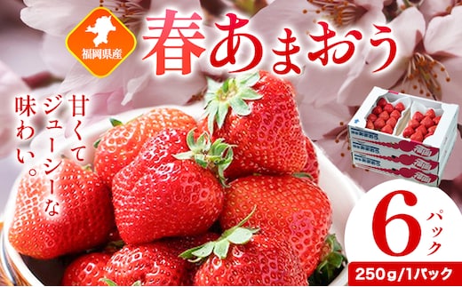 福岡県産 春あまおう 6パック 南国フルーツ株式会社《2027年2月上旬-2027年3月末頃出荷》福岡県 鞍手町 あまおう いちご イチゴ 送料無料【配送不可地域あり】---skr_cnngkam_af2_26_17000_1500g---