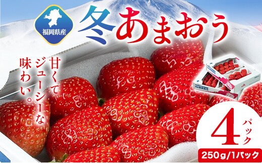 福岡県産 冬あまおう 4パック 南国フルーツ株式会社《2026年12月上旬-2027年1月末頃出荷》福岡県 鞍手町 あまおう いちご イチゴ 送料無料【配送不可地域あり】---skr_cnngkam_af12_26_21500_1kg---