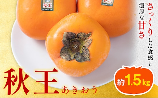 柿 秋王 約1.5kg（4-6玉） 南国フルーツ株式会社【26年度出荷】《10月中旬-11月末頃出荷》福岡県 鞍手町 福岡県産 柿 フルーツ 果物---skr_cnngka_bc10_26_17000_6i---