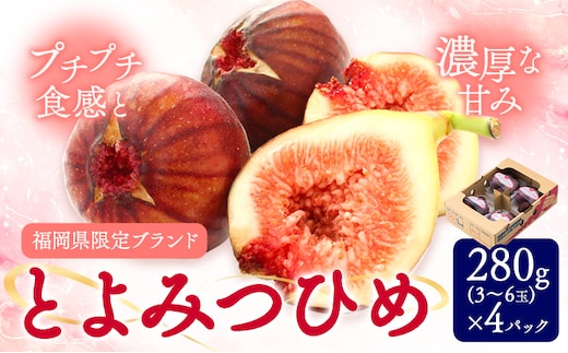いちじく 無花果 とよみつひめ 280g×4パック《8月中旬-10月中旬頃出荷》福岡県 鞍手町 福岡県産 いちじく フルーツ 果物---skr_ctymt_26_q810_9000_1120g---