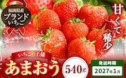 いちご あまおう 先行予約 いちご 大量 540g  フルーツ《2027年1月上旬-1月末頃出荷》苺 旬 くだもの 果物 福岡県 鞍手町---iskr_camoys_ac1_r8_8000_540g---