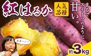厳選 紅はるか 3kg しょうた農園《12月上旬-3月末頃出荷》福岡県 鞍手町 紅はるか さつまいも 芋 いも イモ サツマイモ---skr_aktkbn_af123_25_5500_3kg---