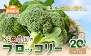 ブロッコリー 花田農園 の ブロッコリー 20個 花田農園 《11月下旬-3月末頃出荷》福岡県 鞍手町 ぶろっこりー 野菜 ブロッコリー 産地直送 送料無料---skr_chndbr_cf113_25_12000_7kg---