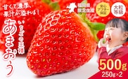 ★2027年出荷分★あまおう 大容量 あまおう いちご 500g【先行予約】【着日指定不可】《2月中旬-3月中旬頃出荷》ふるさと納税 いちご 福岡県 フルーツ ---kr_ckramar_q2_26_6000_500g---