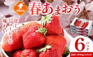 福岡県産 春あまおう 6パック 南国フルーツ株式会社《2月上旬-3月末頃出荷》福岡県 鞍手町 あまおう いちご イチゴ 送料無料【配送不可地域あり】---skr_cnngkam_af2_r7_17000_1500g---
